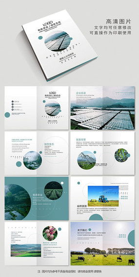 食品公司畫冊設計 素材精選與廣告創意指南